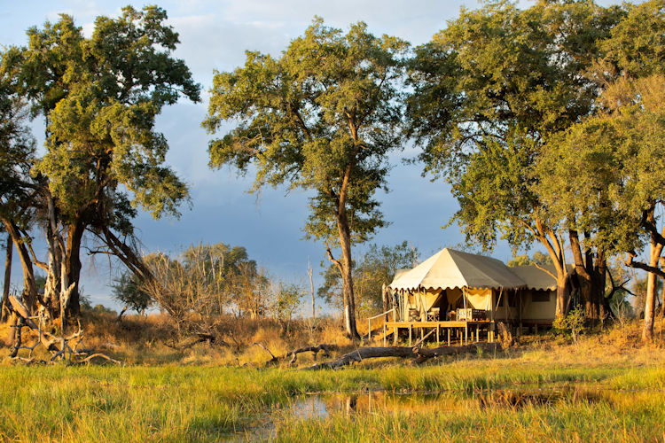 Okavango Delta aerial view UNESCO waterways islands lush vegetation wildlife Botswana