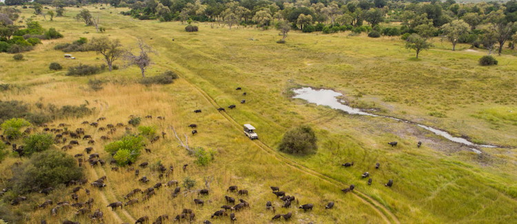 Best Okavango Fly-In Safari 7 days Okavango Moremi honeymooners couples US$3770 Botswana