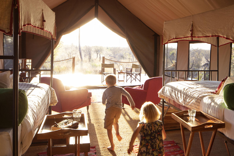 Family choosing safari Botswana interests budget accommodation style malaria safety age restrictions