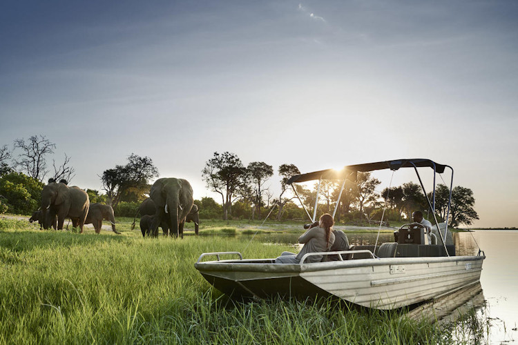 Packing essentials family safari Botswana lightweight clothing hat sunscreen insect repellent luggage
