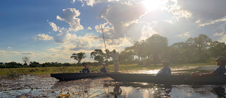 Mokoro safari Okavango Delta Botswana poler ngashi narrow channels reeds water lilies crystal clear waterways