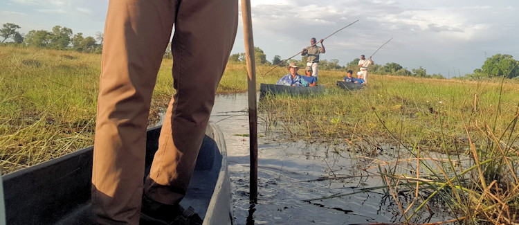 Mokoro Okavango Delta Botswana elephant hippo birdlife water level photography reeds palm islands Moremi
