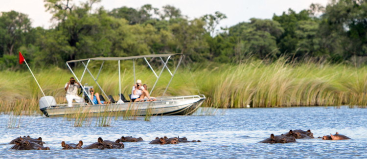 Botswana Ultimate Family Safari 9 days Okavango Moremi Savute Chobe family Victoria Falls option