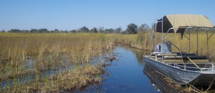 Camping Okavango Delta Botswana elephant rumbling stomach tent night stars Nicky Searle mobile safari