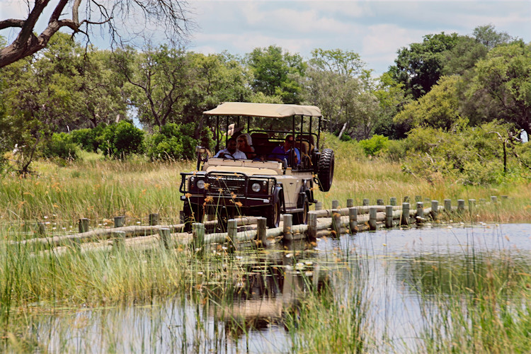 Safari vehicle Botswana shade tree game drive wildlife viewing 7-day itinerary dry season