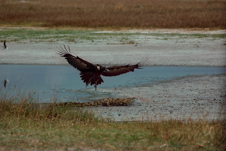 Okavango Delta sunset Botswana 7-day safari dry season May October wildlife viewing mokoro trip