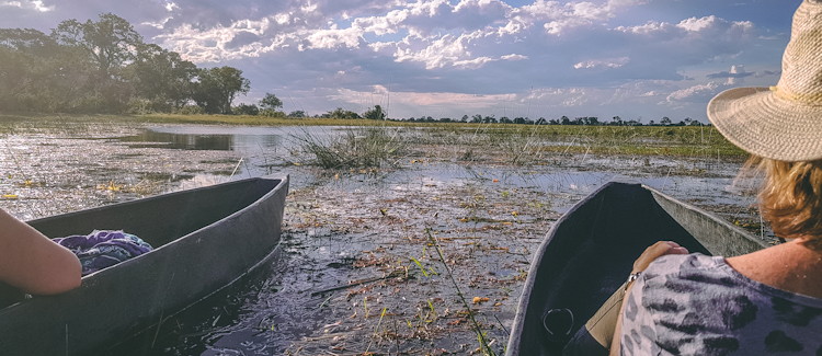 Mokoro safari Okavango Delta Botswana traditional dugout canoe waterways Moremi Game Reserve
