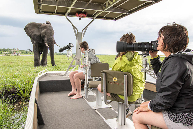 Birdwatcher paradise Chobe 450 species African fish eagle Pel's Fishing Owl Carmine Bee-eater Botswana