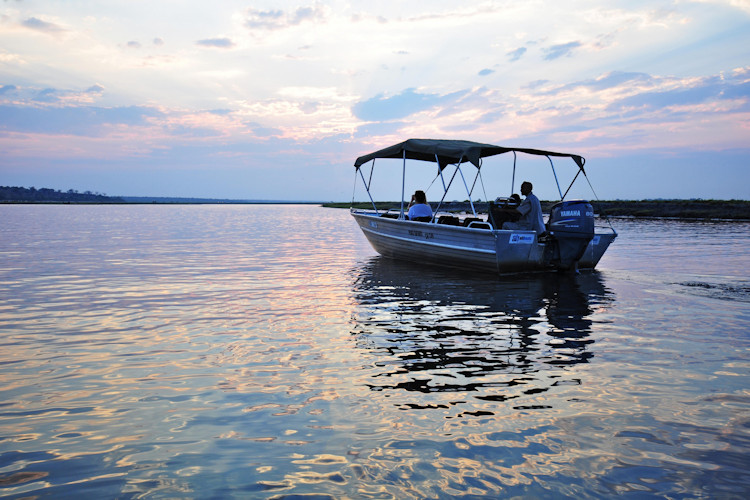 Boat safari Chobe River Botswana electric skimmer close encounter elephant hippo crocodile photography