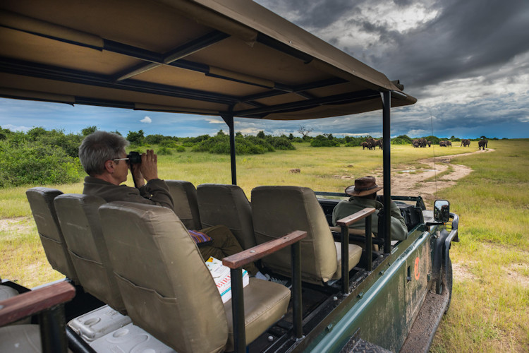 Botswana safari dry season May October clear skies abundant wildlife Okavango Delta Chobe Moremi