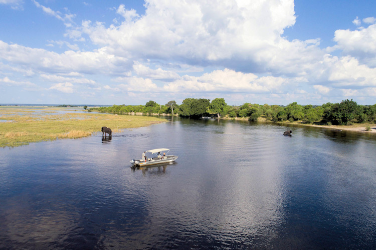 Botswana safari month guide verdant green season January April lush landscape wildlife