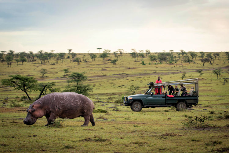 A stunning view of the Maasai Mara National Reserve showcasing its vast savannahs and wildlife.