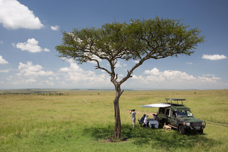 The Great Migration of wildebeests crossing a river in Maasai Mara.