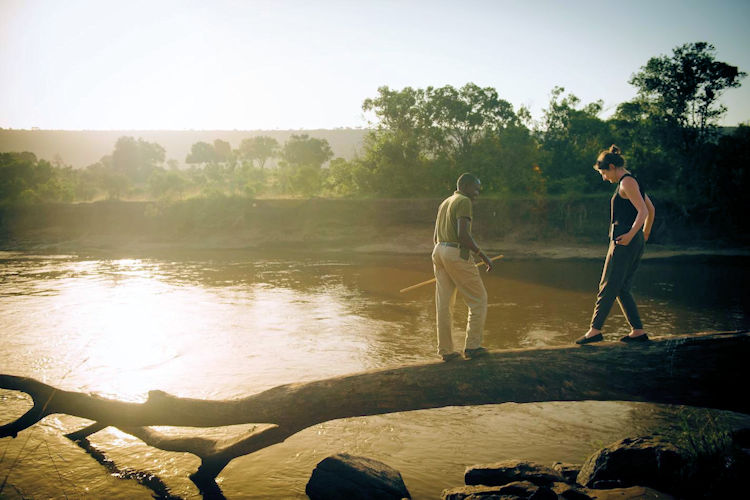 Conservation efforts in Maasai Mara, featuring rangers and wildlife.