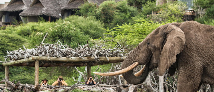 ol Donyo Lodge Chyulu Hills Mbirikani Ranch 7 suites Relais Chateaux horseback safaris Kenya