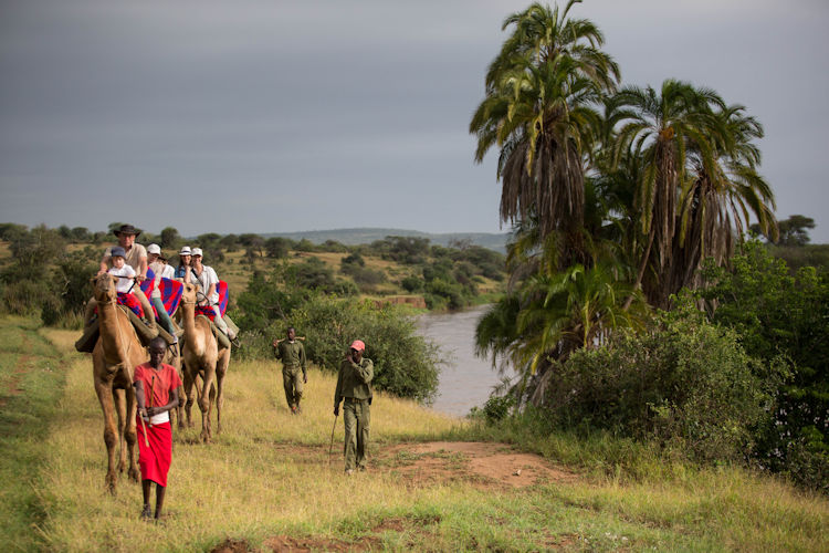 Samburu warriors in traditional red shuka clothing standing across the Laikipia Plateau savannah, Kenya
