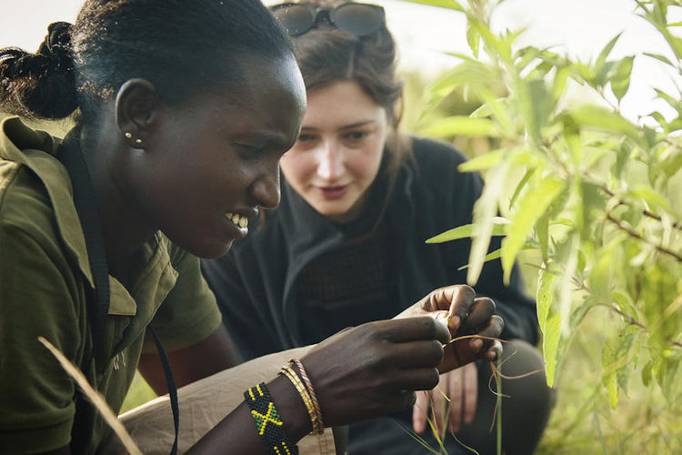 Essential travel tips Kenya safari packing neutral clothing malaria prevention yellow fever vaccination