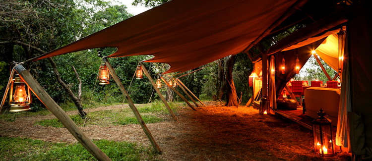 Mara Toto Camp Masai Mara 4 luxury tents Ntiakitiak River forest privacy migration Kenya