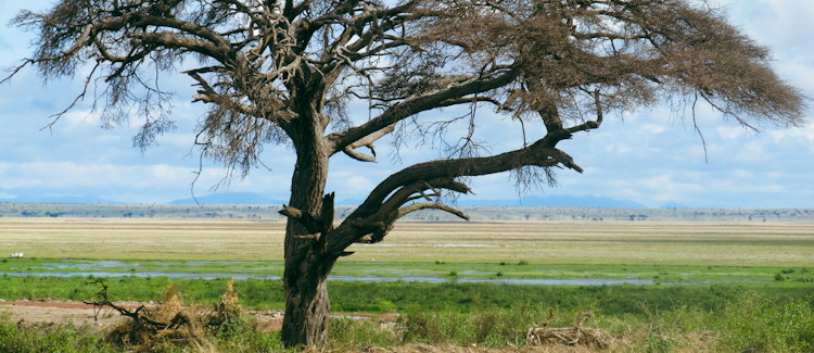 Amboseli National Park Kenya Maasai community cultural interaction traditional nomadic people Kenya