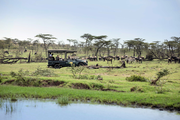 Maasai Mara National Reserve Great Migration wildebeest zebra Big Cats lions leopards balloon Kenya