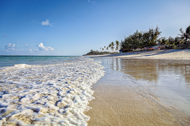 Diani Beach Kenya tropical paradise white sands turquoise Indian Ocean whale sharks kite surfing