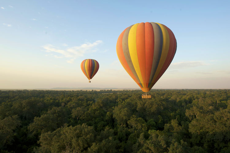 Hot air balloon Masai Mara sunrise wildebeest zebra herds below Kenya safari champagne breakfast