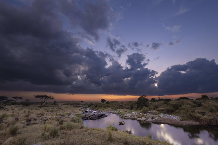Aerial view Mara River winding green grasslands acacia trees Masai Mara National Reserve Kenya