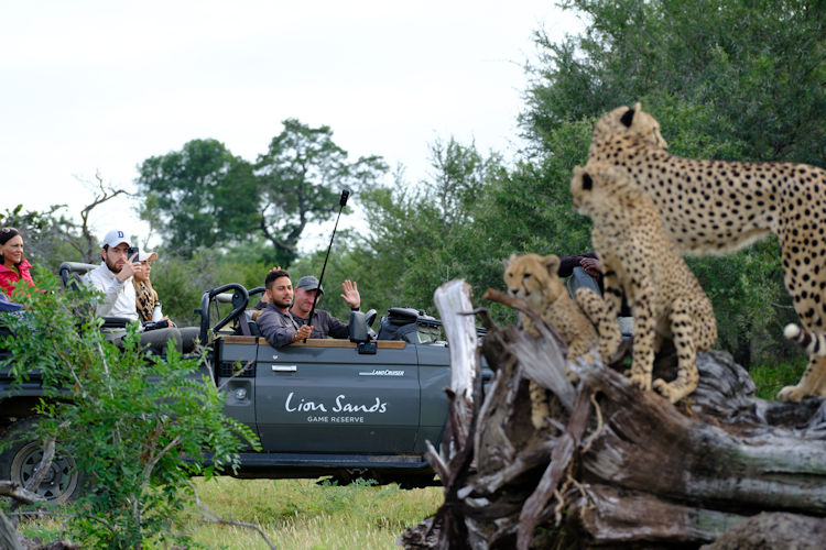 Luxury lodges in Kruger Game Reserves offering comfortable accommodations.
