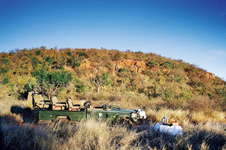 An open safari vehicle filled with guests drives through tall golden grass, illuminated by the soft early morning light in the Madikwe Game Reserve. The scene captures the essence of a luxury safari experience, as travelers explore the African bush, surrounded by the beauty of nature.