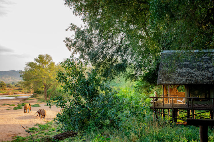 luxury-tented-safari-camps-in-africa-1.jpg A beautiful luxury tented safari camp in Southern Africa, showcasing spacious tented suites amidst the African bush.