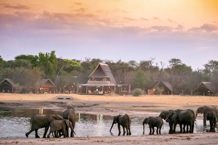 Stay at The Hide: A Safari Escape in Hwange National Park