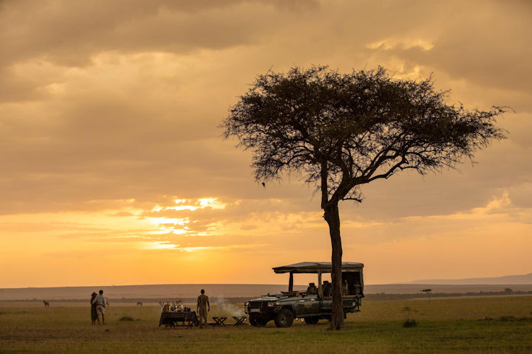 A breathtaking sunrise over the African savannah illuminates the silhouette of acacia trees against an orange sky, with a hot air balloon drifting in the distance, embodying the serene beauty of the Maasai Mara National Reserve. This scene captures the essence of East Africa's wildlife and the unforgettable experiences that await safari goers.