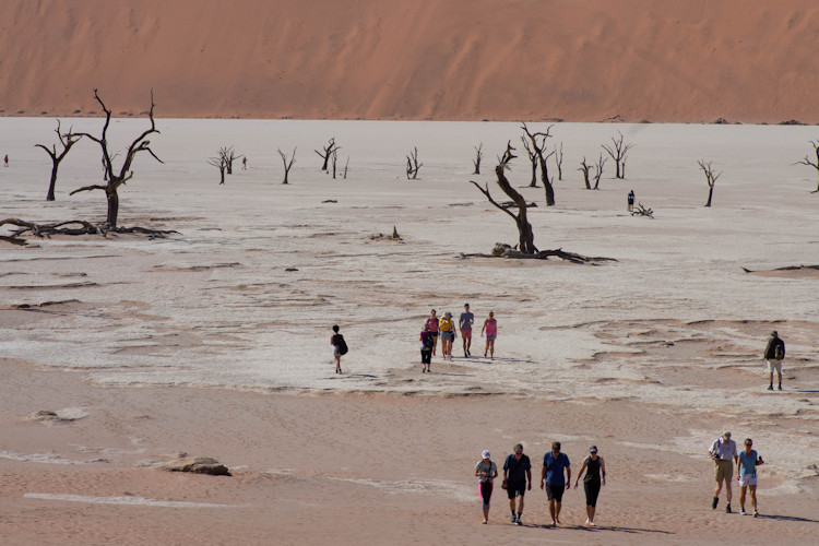 Deadvlei Sossusvlei 900-year-old camelthorn trees white clay pan red dunes photographer dream Namibia