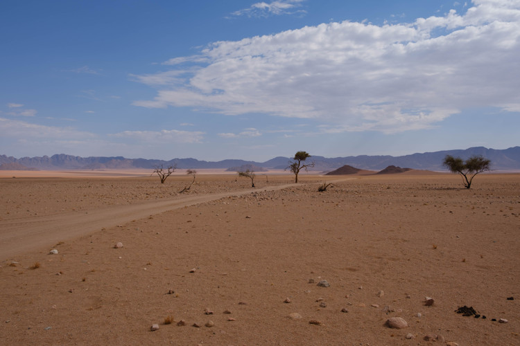 Sossusvlei Namib Naukluft National Park towering red sand dunes clay pan sunrise golden photographer
