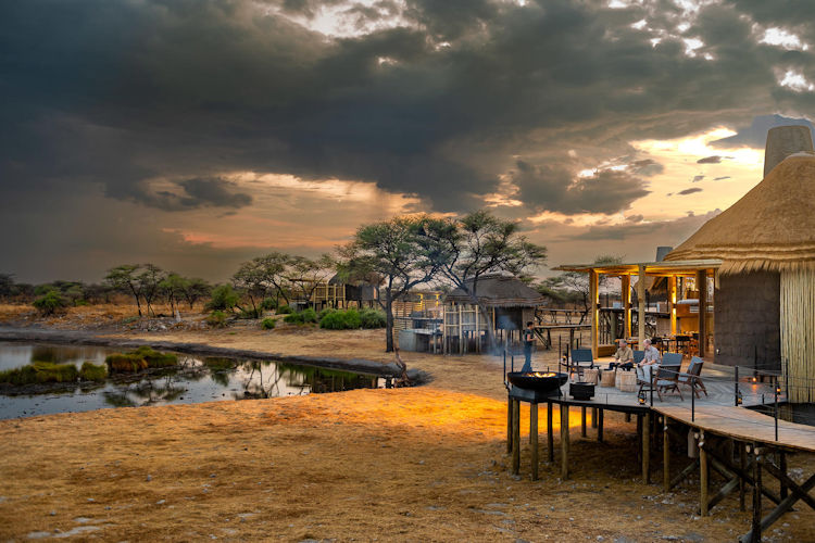 Etosha National Park elephant herd gathering at a waterhole in dust and late afternoon light Namibia safari