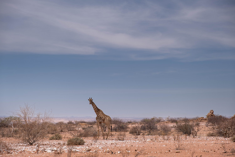 Additional Namibia safari destinations Fish River Canyon Skeleton Coast Caprivi Strip options