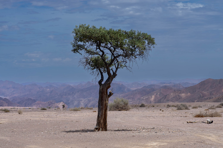 How to get to Namibia Windhoek Hosea Kutako International Airport self-drive fly-in routes