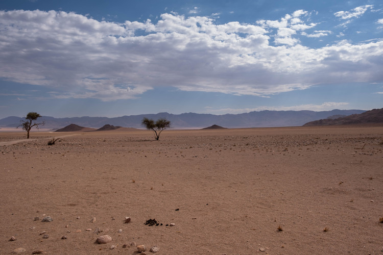 Namib Desert red sand dunes Sossusvlei sunrise iron oxide ancient 55 million years Namibia