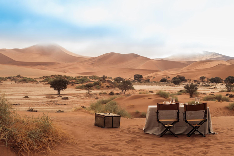 Namibian cuisine game meat warthog kudu oryx impala zebra German African blend