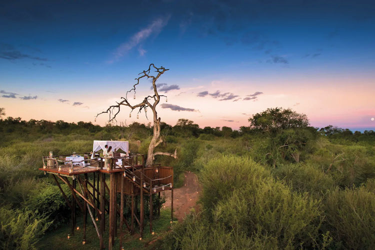 A luxurious tree house features a platform bed adorned with romantic lighting, set against the backdrop of a starry African night sky, creating an enchanting atmosphere for a memorable safari getaway. This serene setting evokes the beauty of iconic destinations like Amboseli National Park and the Masai Mara, perfect for a romantic safari experience.