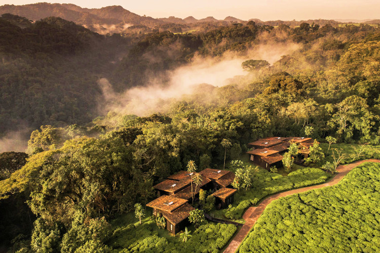 One&Only Nyungwe House tea plantation 22 suites chimps mountain biking canopy walk Rwanda