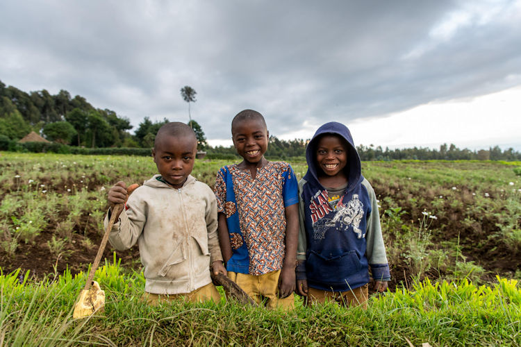 Travellers hiking green hills Rwanda porters Volcanoes National Park gorilla trek community