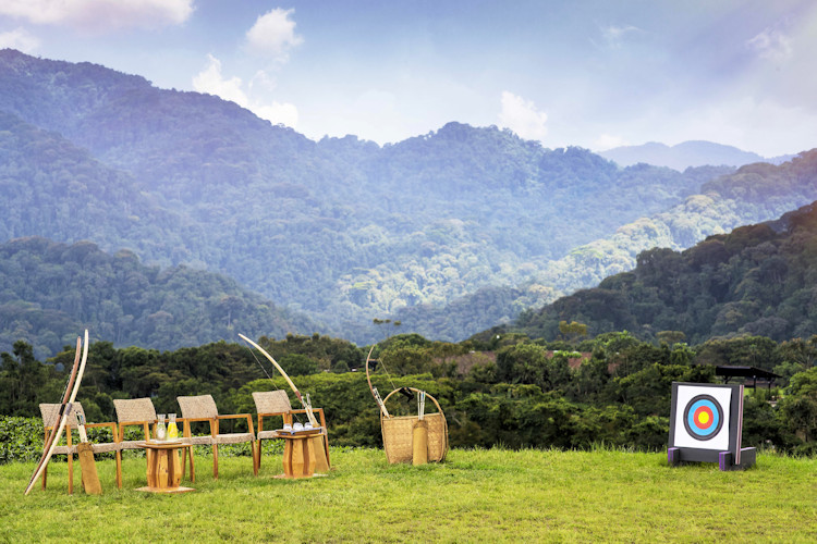 Nyungwe Forest National Park Rwanda 13 primate species chimpanzees colobus monkeys canopy walk birdlife