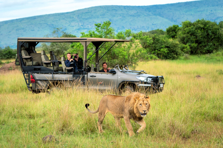 Akagera National Park Rwanda Big Five lion leopard rhino elephant buffalo Lake Ihema boat safari