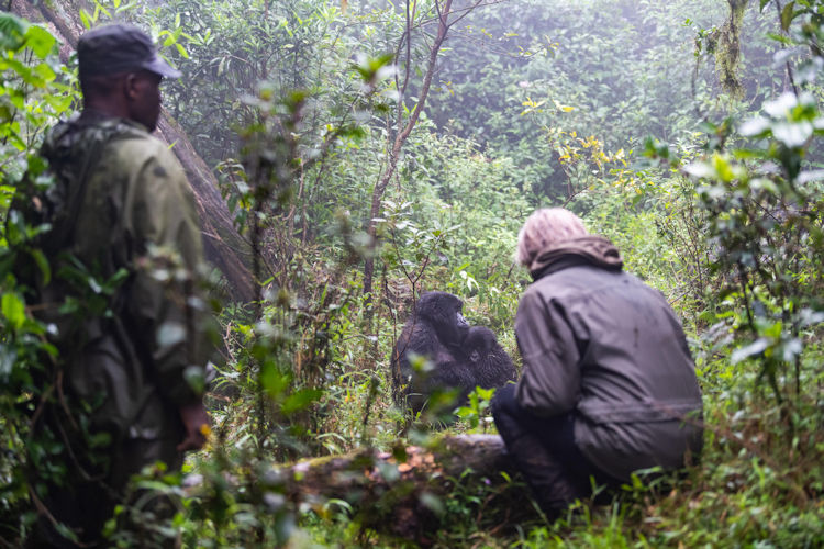 Planning Rwanda honeymoon safari itinerary gorilla permits photographer helicopter transfers luxury