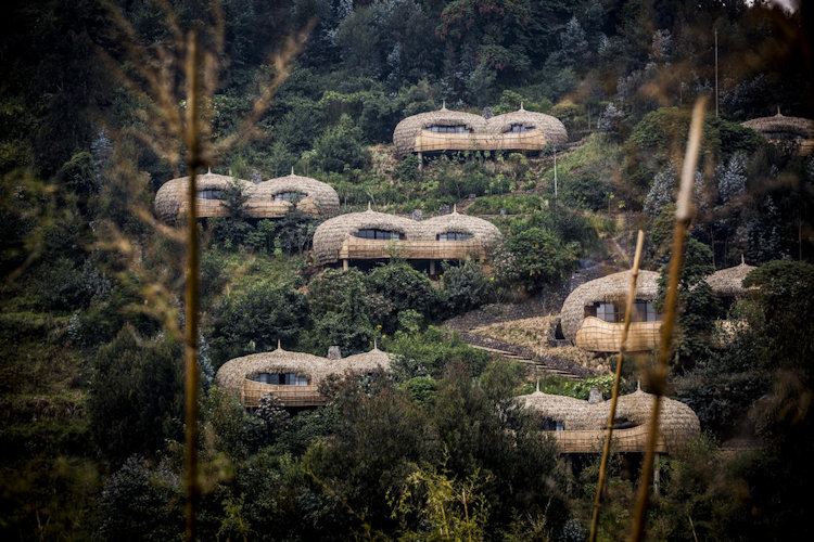 Wilderness Bisate luxury lodge Volcanoes National Park Rwanda spherical eco-lodge Karisimbi Bisoke Mikeno