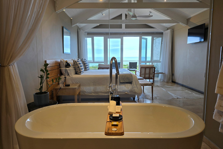 Abalone Guest Lodge luxurious room king bed en-suite bath shower Walker Bay views satellite TV