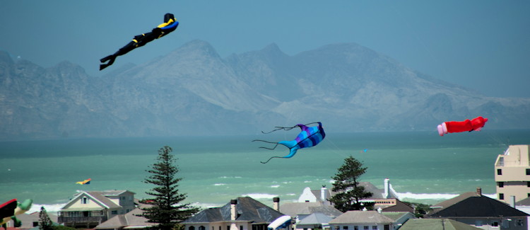 Cape Town Kite Festival Muizenberg stunt kiting Rokkaku kite battles Japanese cartoon character whale shark kite