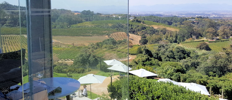 Eagles Nest Constantia Valley Raptor Research Programme Little Eagle Rosé fire winter tasting dogs welcome