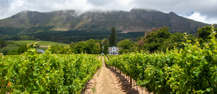 Constantia Uitsig restaurant River Cafe leisurely brunches Cape Town winelands Capetonians favourite